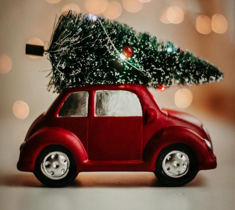 Fijne Kerstdagen!